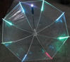 Bild von MIRACULOUS LED Regenschirm