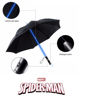 Bild von SPIDERMAN LED Regenschirm