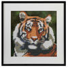 Bild von DIAMOND PAINTING - Tiger