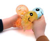 Bild von SQUEEZE OCTOPUS