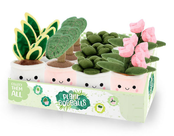 Bild von PLANT BOBBALLS