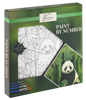 Bild von Paint by Number Panda