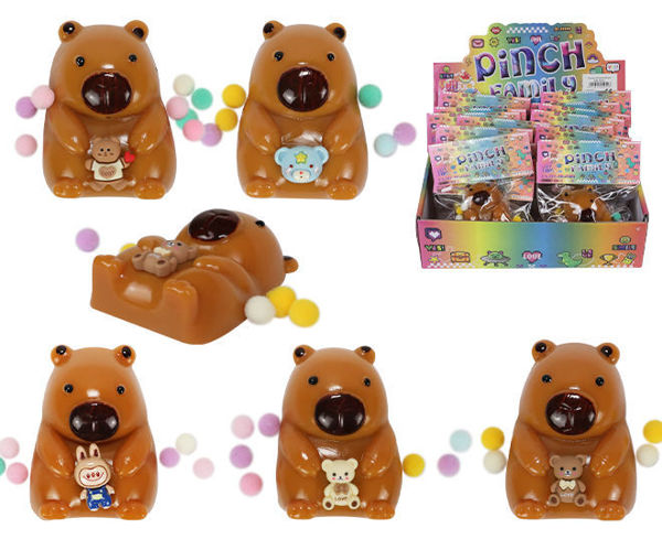 Bild von Squeeze Capybara