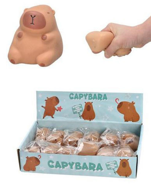 Bild von Stretch Sand Capybara