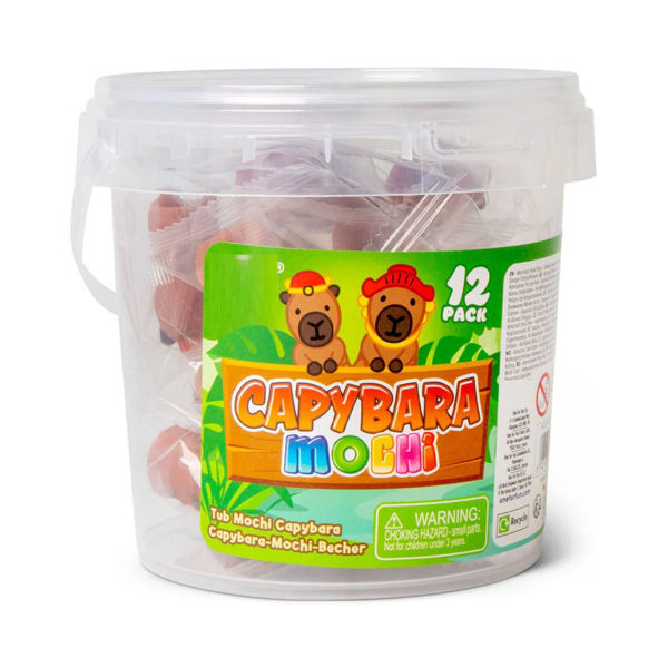 Bild von CAPYBARA MOCHI im Eimer