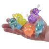 Bild von Maltose Mini Mix Display - Sugaring / Slow Rise